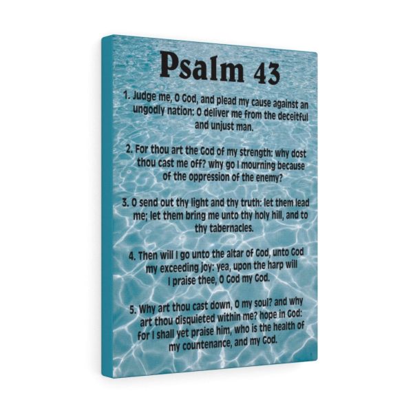 Scripture Canvas Judge Me Psalm 43 Christian Bible Verse Meaningful Framed Prints, Canvas Paintings - Image 4