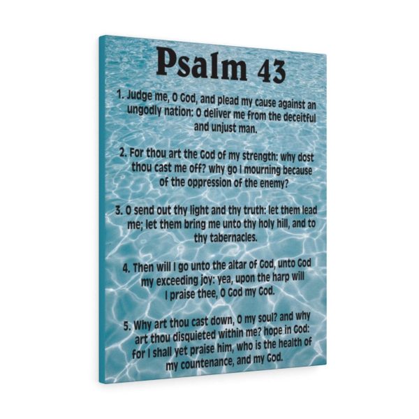 Scripture Canvas Judge Me Psalm 43 Christian Bible Verse Meaningful Framed Prints, Canvas Paintings - Image 2